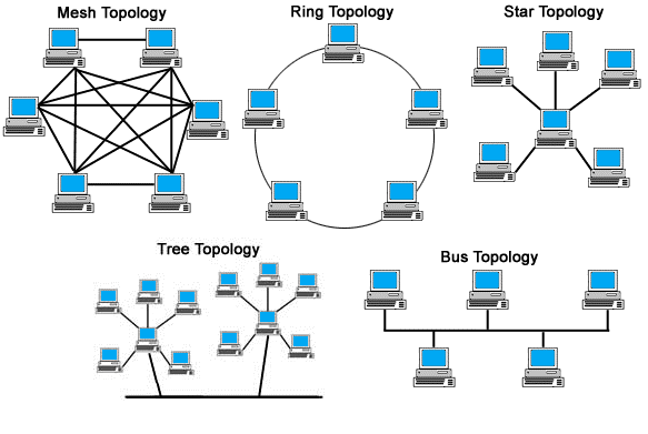 انواع توپولوژی شبکه های کامپیوتری